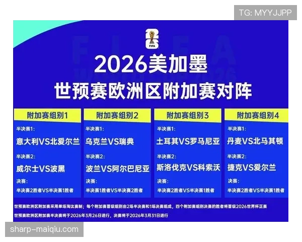 波黑冲击2026世界杯：晋级前景与阵容分析